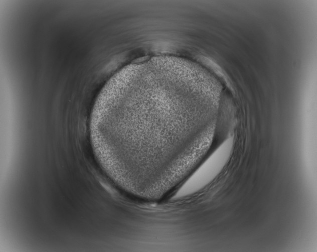 X0000083580401200703091702