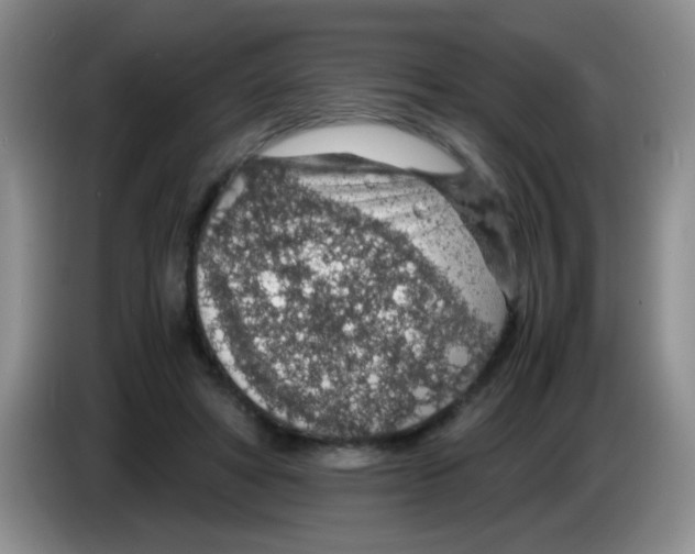 X0000083580402200703091702