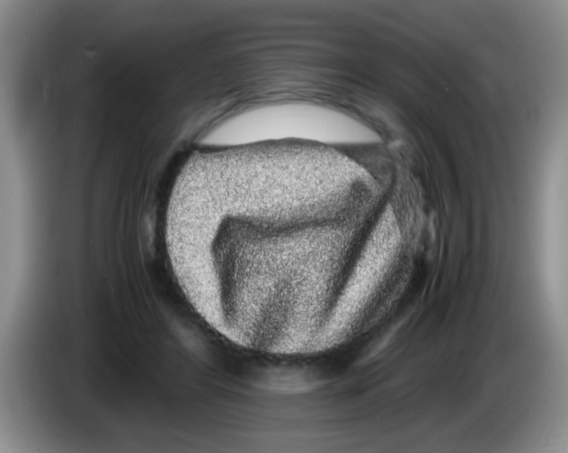X0000083580404200703091702