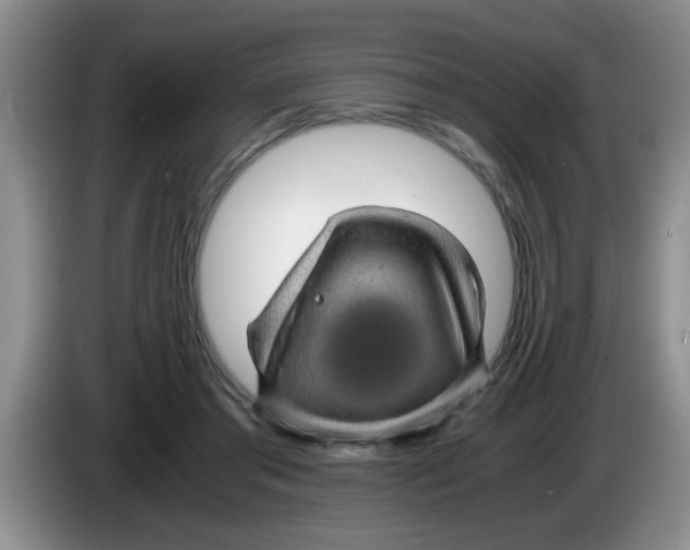 X0000083580405200703091702