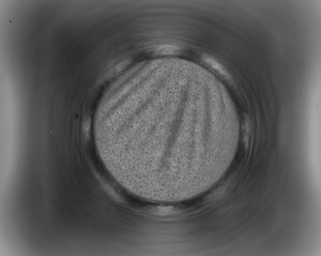 X0000083580406200703091702