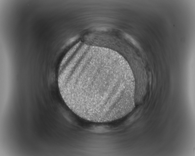 X0000083580407200703091702