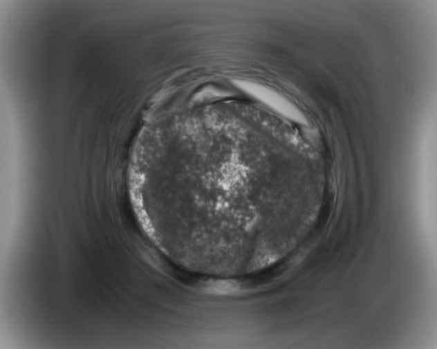 X0000083580409200703091702