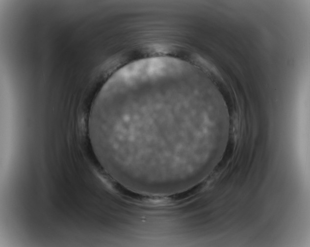 X0000083580410200703091702