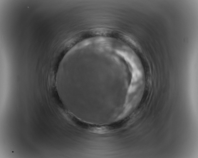X0000083580411200703091702
