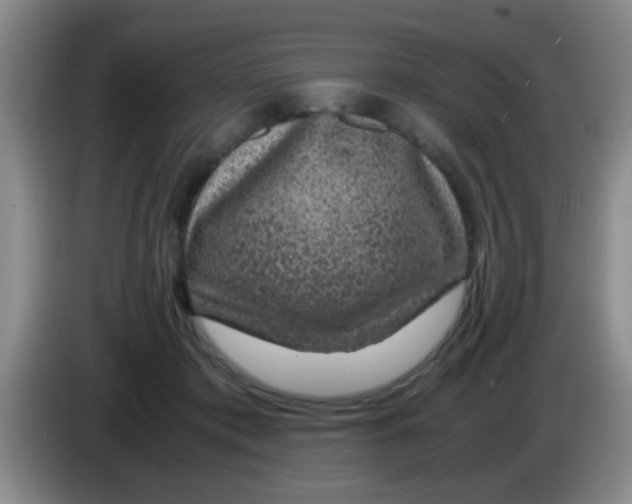 X0000083580413200703091702