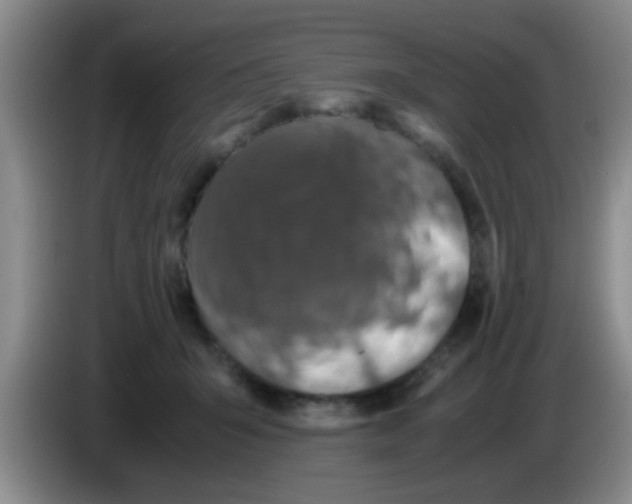 X0000083580415200703091702