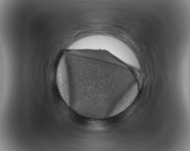 X0000083580417200703091702