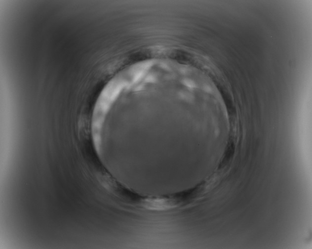 X0000083580419200703091702
