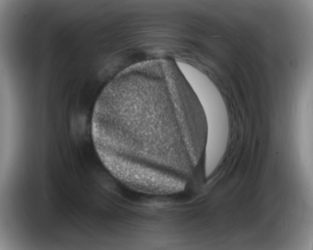 X0000083580420200703091702