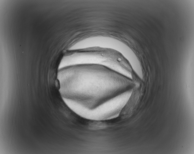 X0000083580421200703091702
