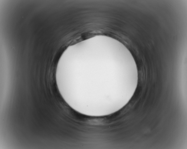 X0000083580422200703091702