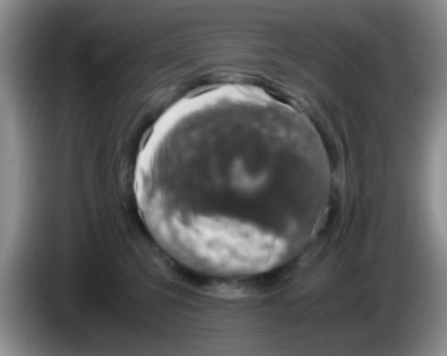 X0000083580423200703091702