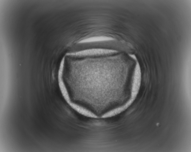 X0000083580424200703091702