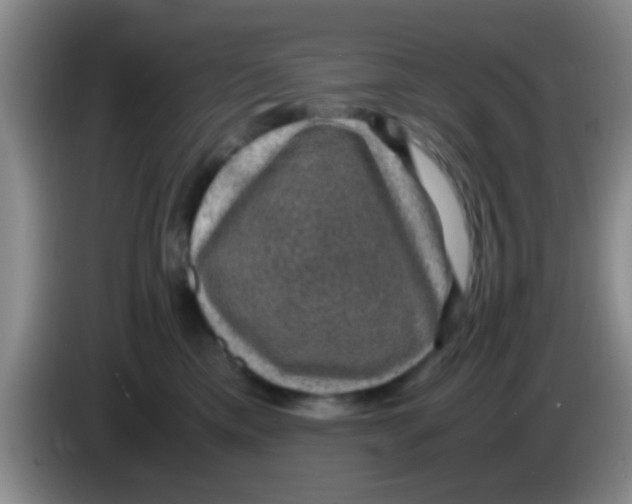 X0000083580425200703091702