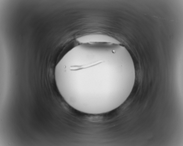 X0000083580426200703091702