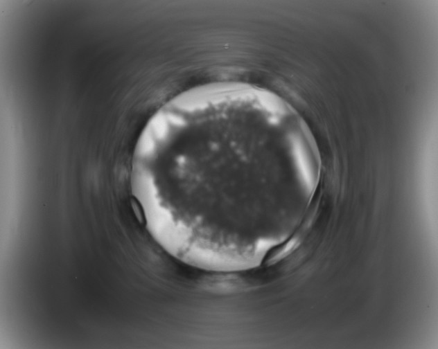 X0000083580427200703091702