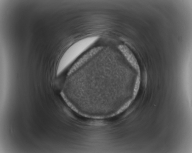 X0000083580428200703091702