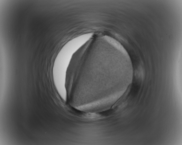 X0000083580429200703091702