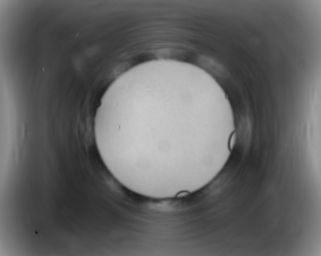X0000083580430200703091702