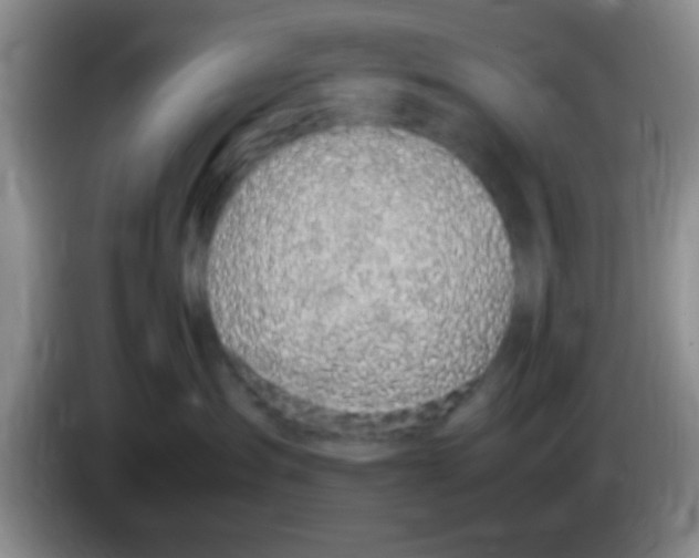 X0000083580431200703091702