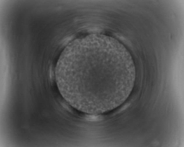 X0000083580432200703091702