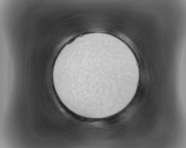 X0000083580433200703091701