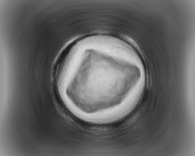 X0000083580435200703091701