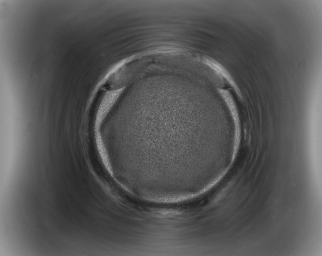 X0000083580436200703091701