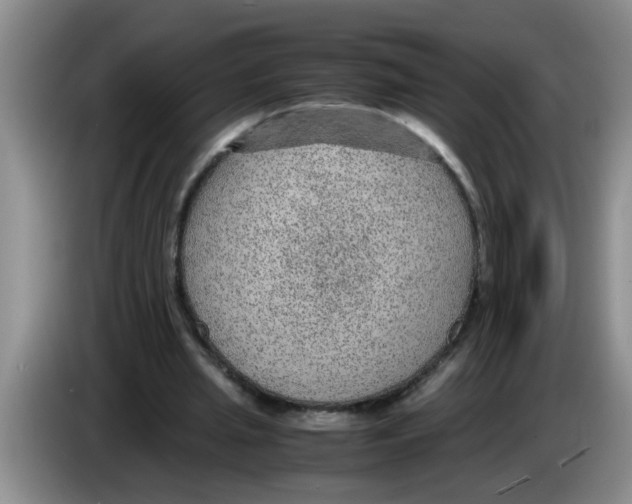 X0000083580437200703091701