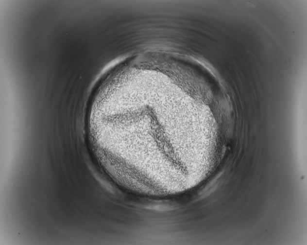 X0000083580438200703091701