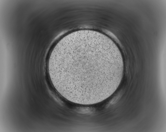 X0000083580439200703091702