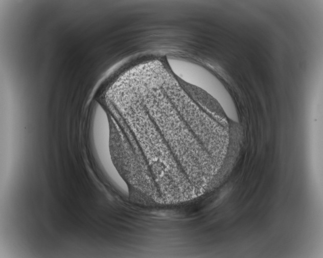 X0000083580440200703091702