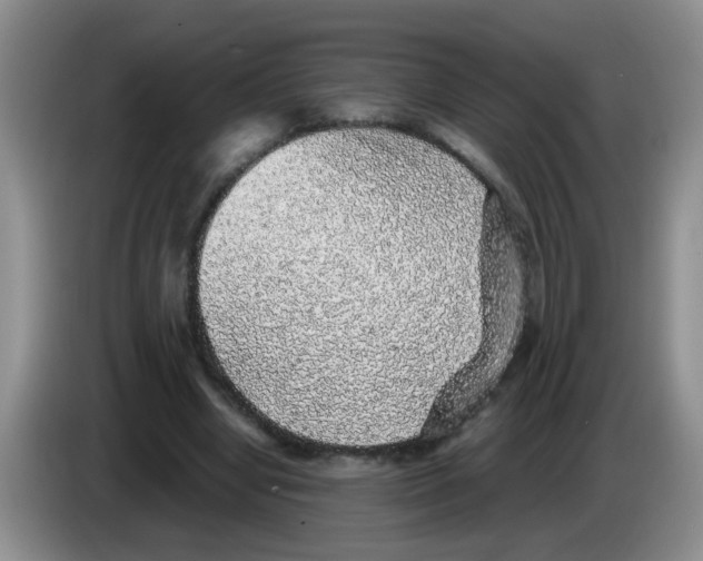 X0000083580442200703091702