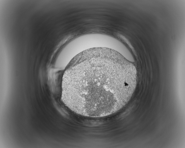 X0000083580443200703091702