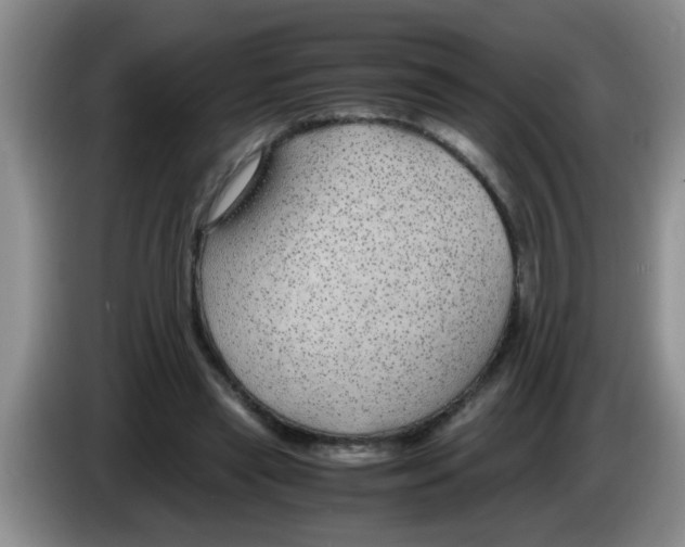 X0000083580445200703091702