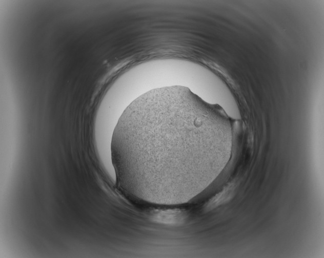 X0000083580446200703091702