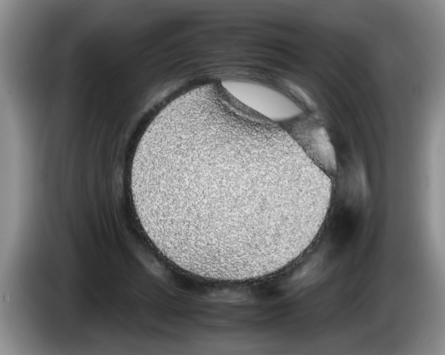 X0000083580447200703091702