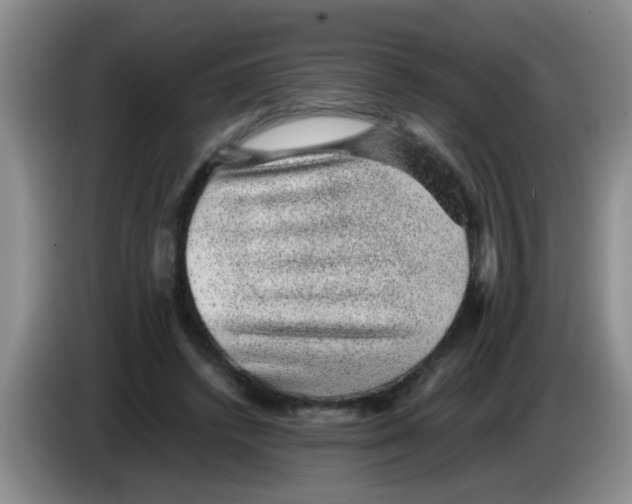 X0000083580448200703091702