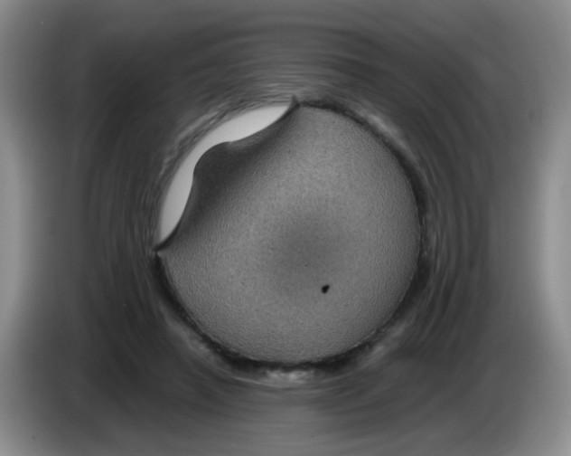 X0000083580450200703091702