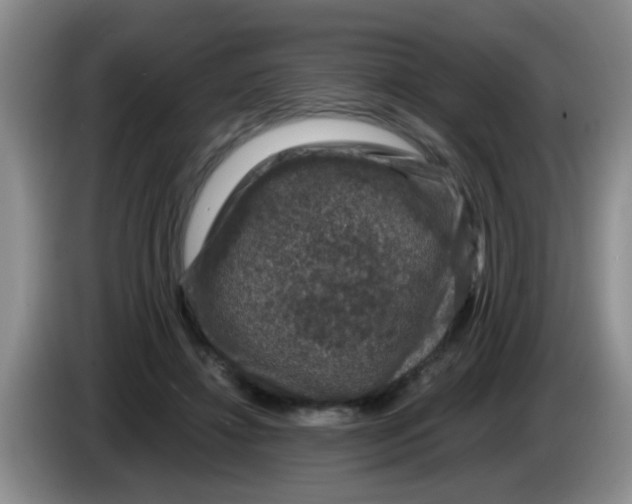 X0000083580452200703091702