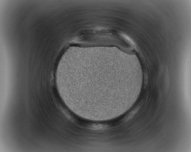 X0000083580453200703091702