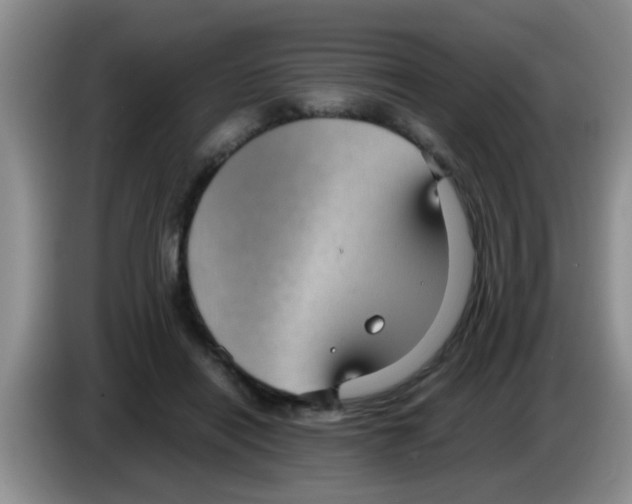 X0000083580454200703091702