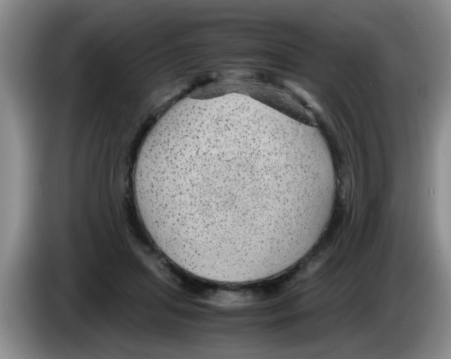 X0000083580455200703091702