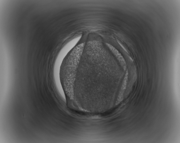 X0000083580456200703091702