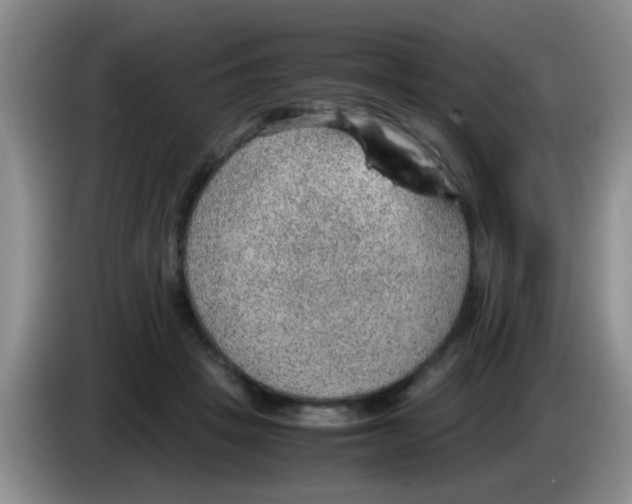 X0000083580457200703091702