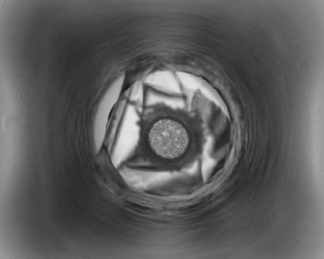 X0000083580458200703091702