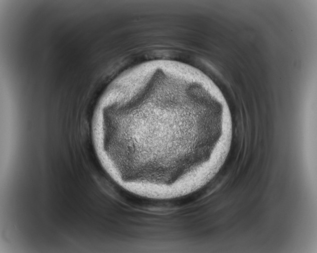 X0000083580459200703091702