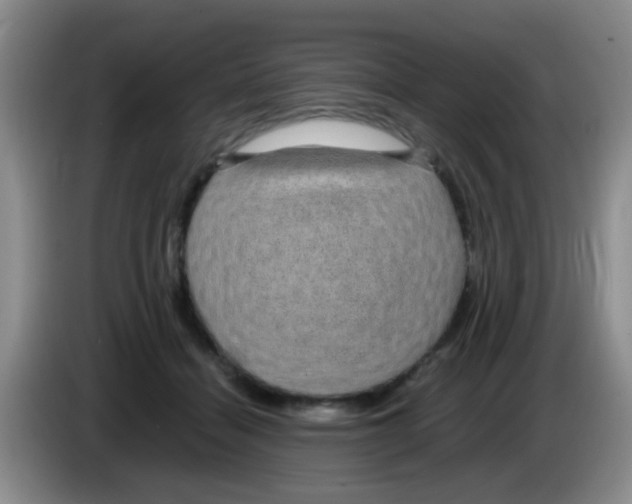 X0000083580460200703091702