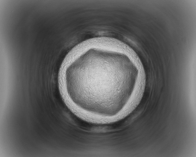 X0000083580461200703091702